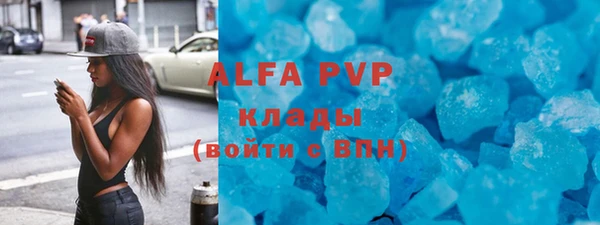 крисы Майский