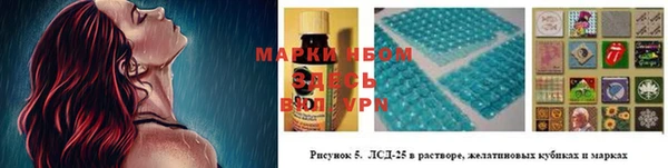 крисы Майский