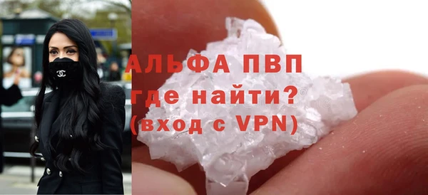 спиды Магас