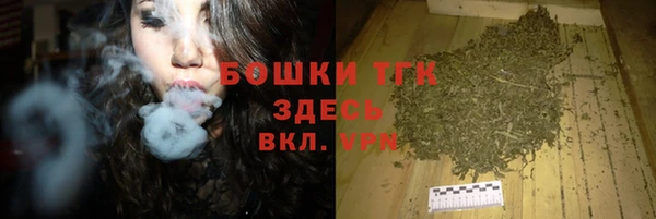крисы Майский