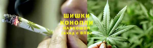 крисы Майский