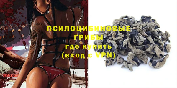 крисы Майский