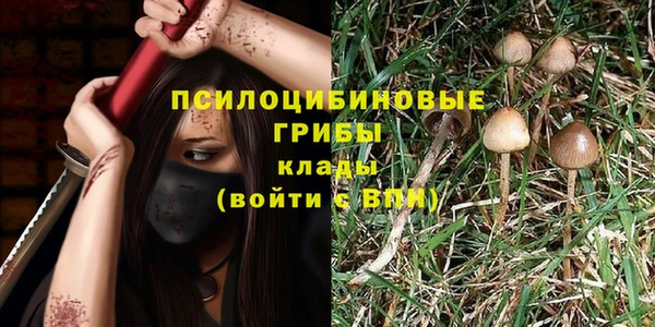 спиды Магас