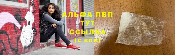 крисы Майский