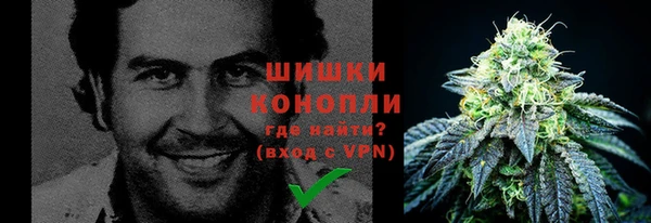 твердый Лиски