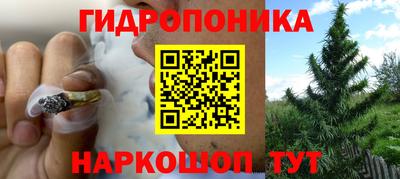 винт Заводоуковск