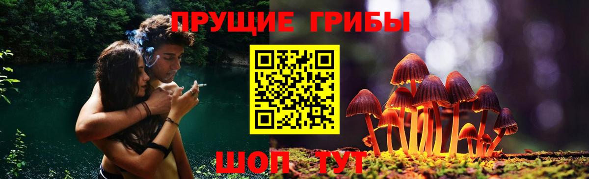 Галлюциногенные грибы Psilocybine cubensis Феодосия